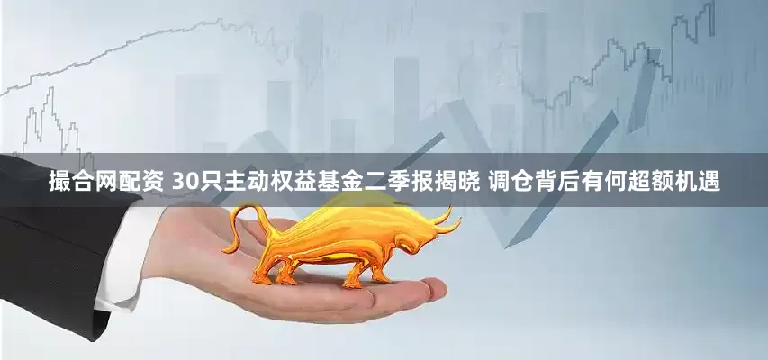 撮合网配资 30只主动权益基金二季报揭晓 调仓背后有何超额机遇