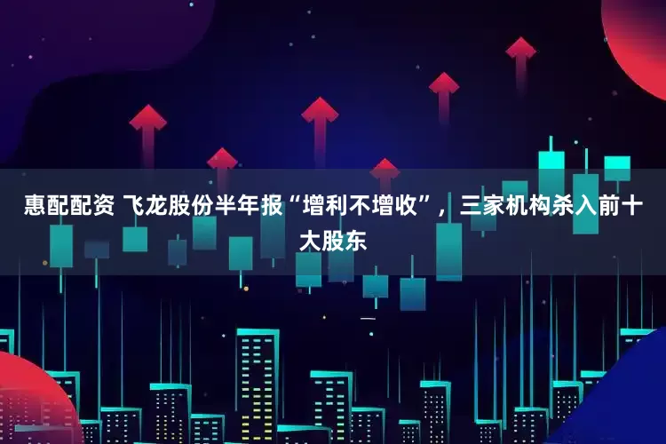 惠配配资 飞龙股份半年报“增利不增收”，三家机构杀入前十大股东