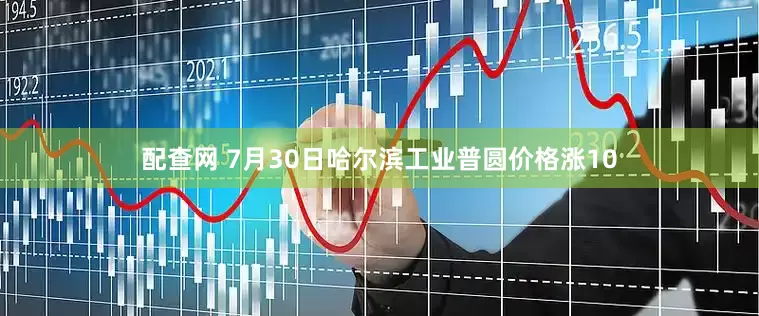 配查网 7月30日哈尔滨工业普圆价格涨10