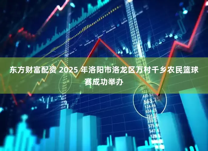 东方财富配资 2025 年洛阳市洛龙区万村千乡农民篮球赛成功举办